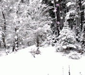 Add Snow to Photos